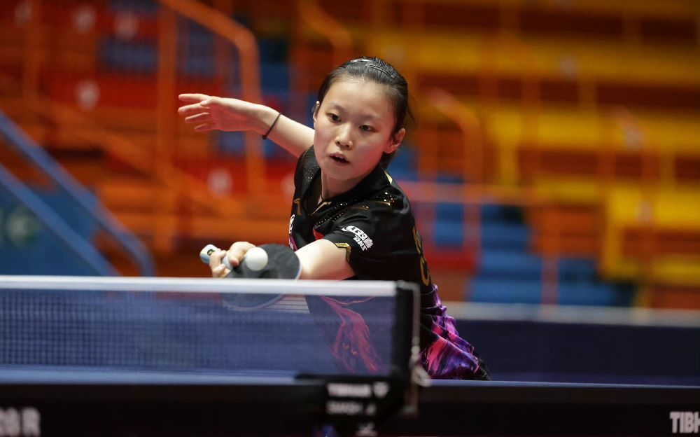 中展现了极 中展现了极