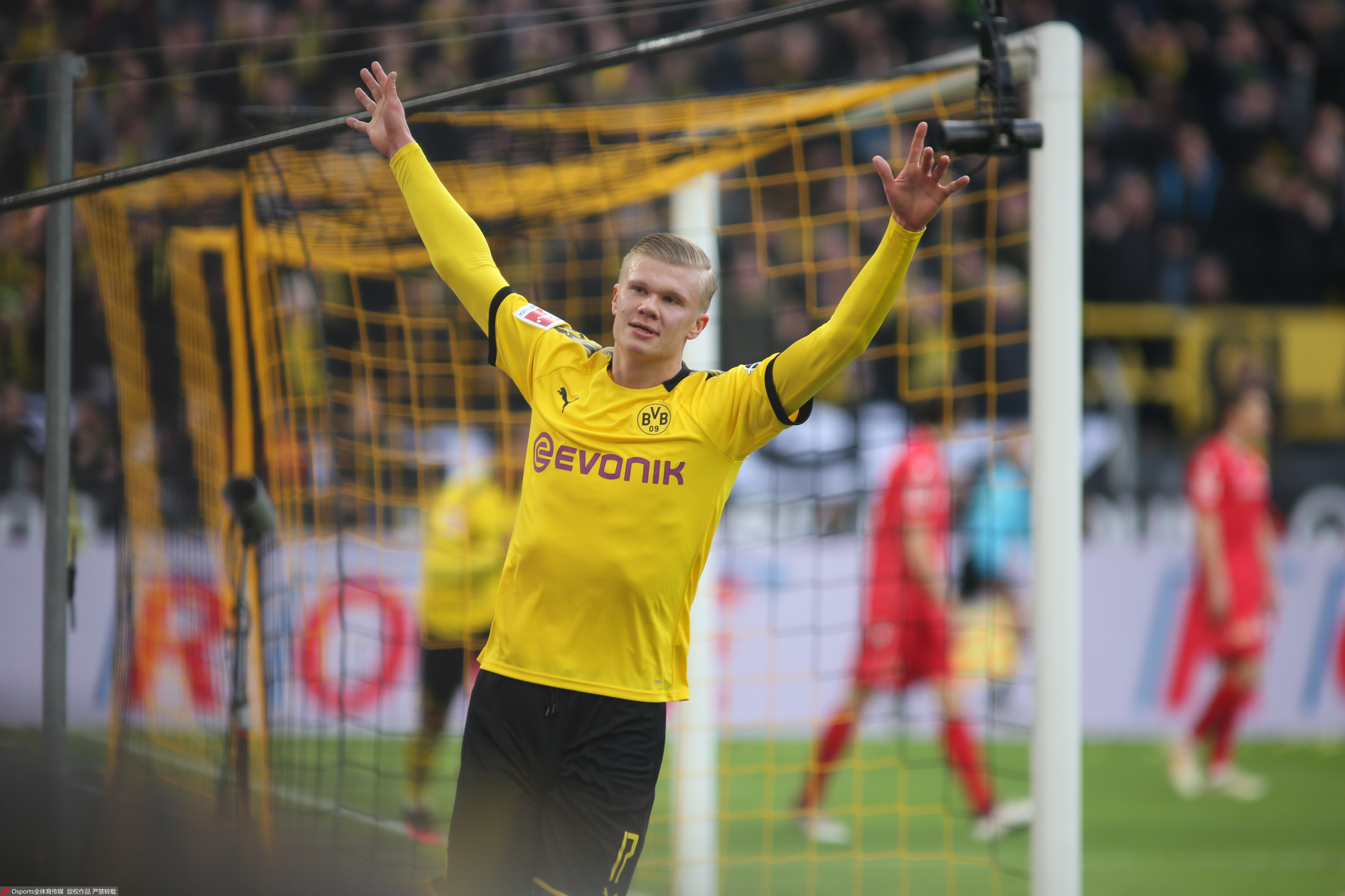 稳稳立在北 稳稳立在北